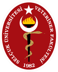 Vet Faculty